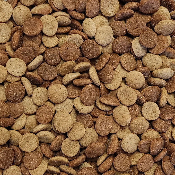 Grancan Cachorro Razas Medianas y Grandes
