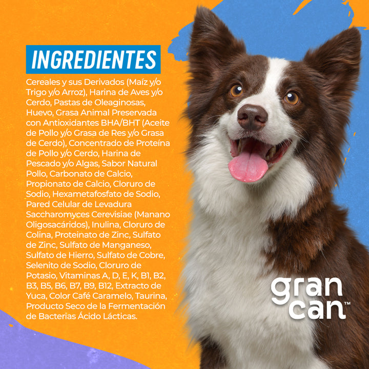 Grancan Adulto Razas Medianas y Grandes
