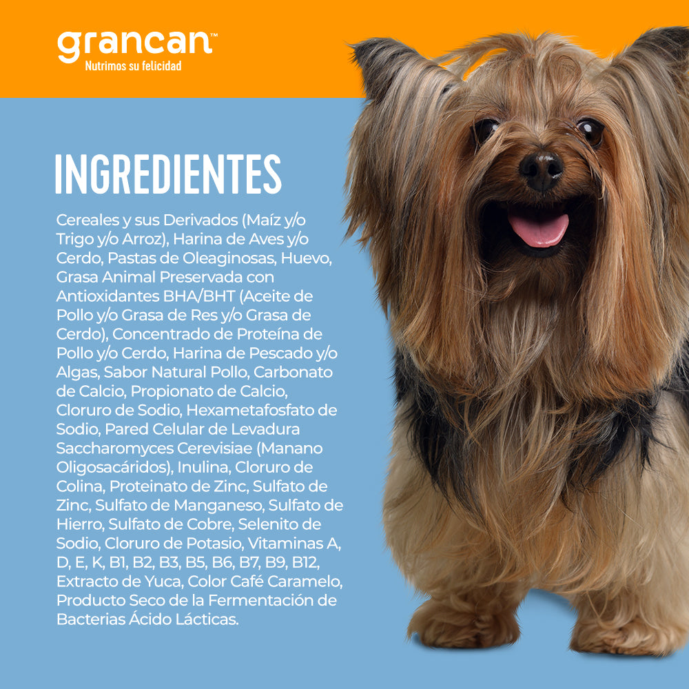 Grancan Adulto Razas Pequeñas
