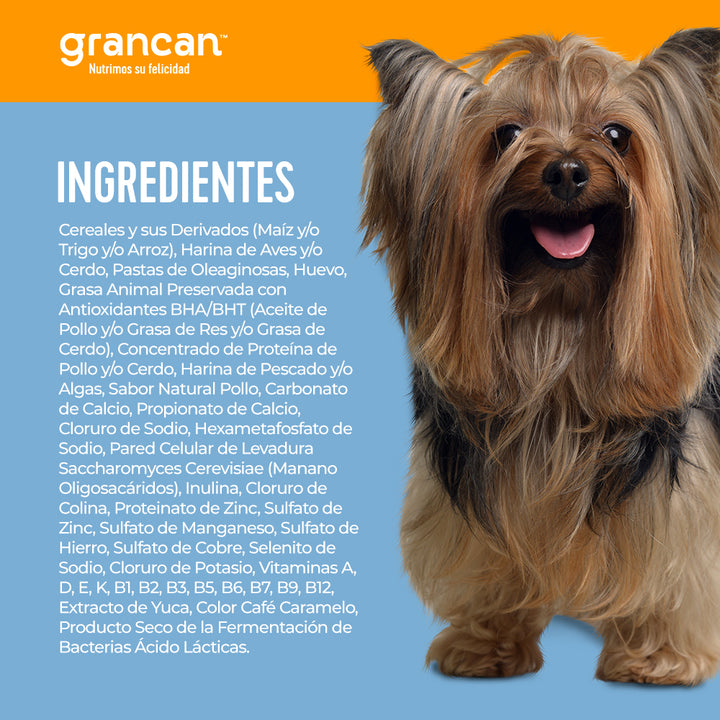 Grancan Adulto Razas Pequeñas