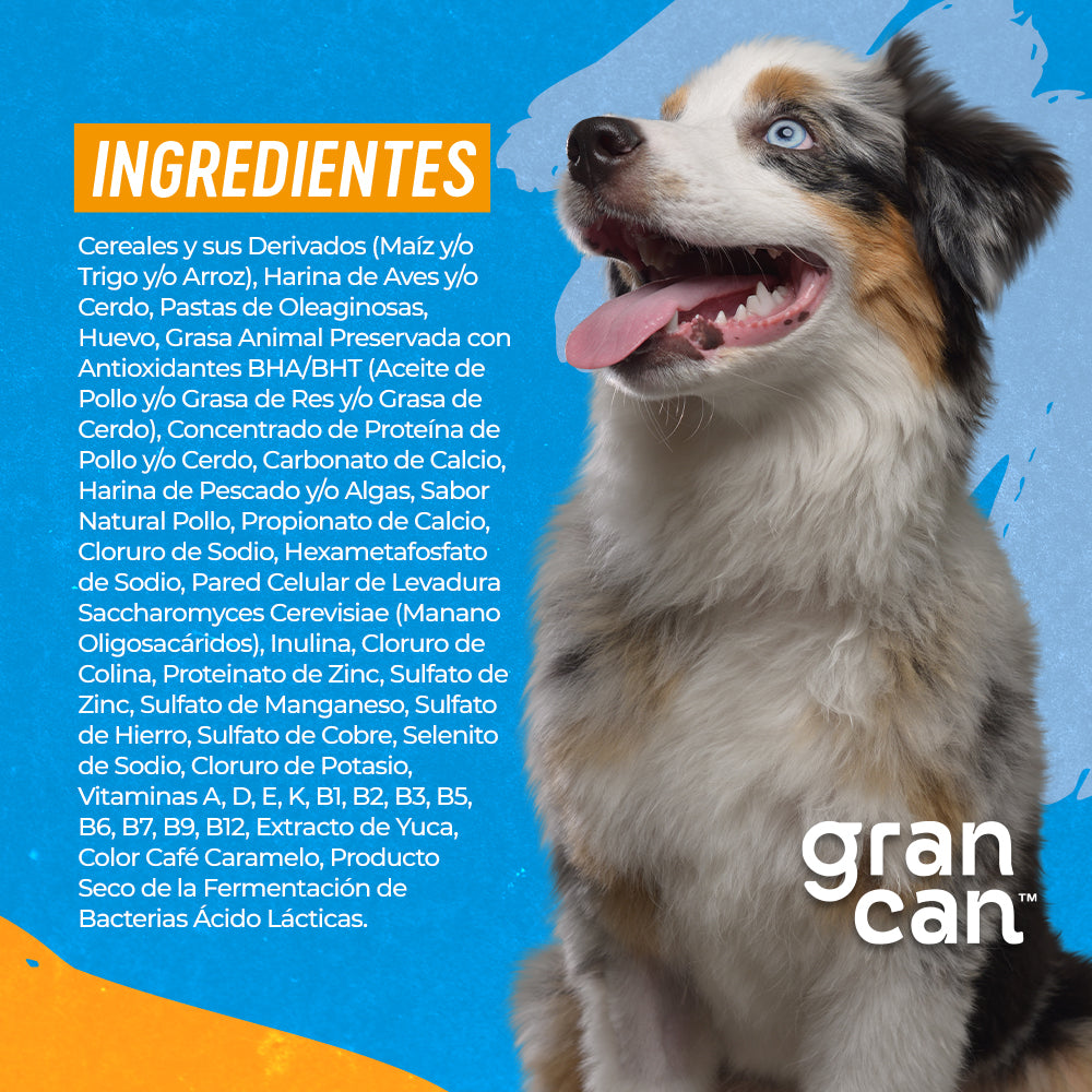 Grancan Cachorro Razas Medianas y Grandes