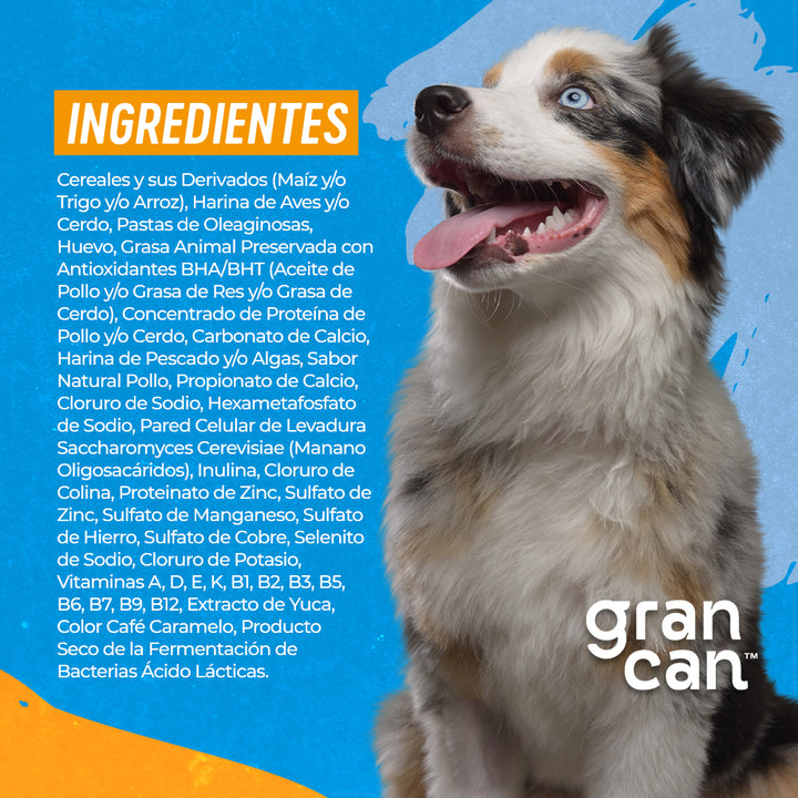 Grancan Cachorro Razas Medianas y Grandes