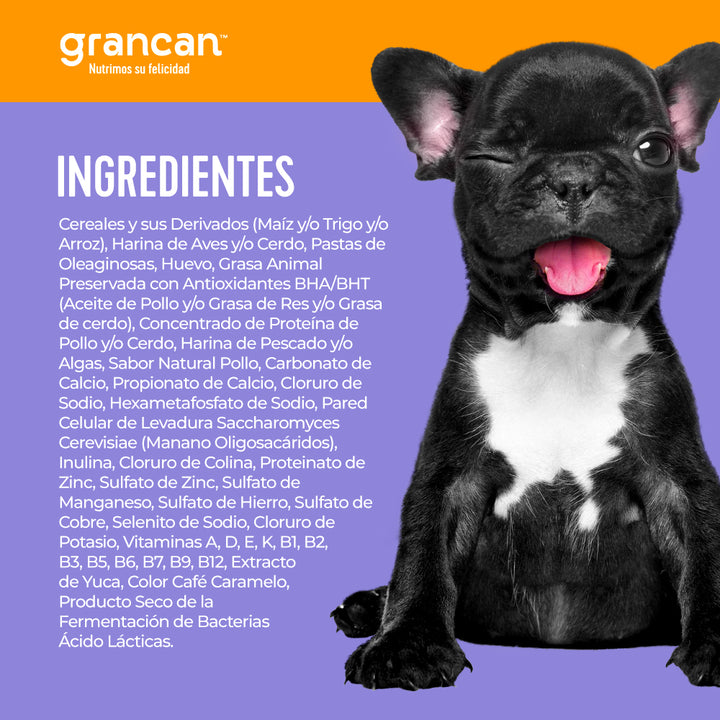 Grancan Cachorro Razas Pequeñas