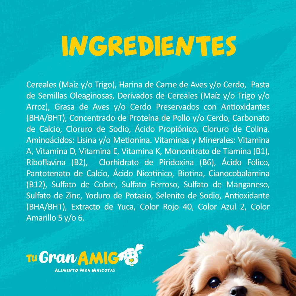 Tu Gran Amigo 25 kg