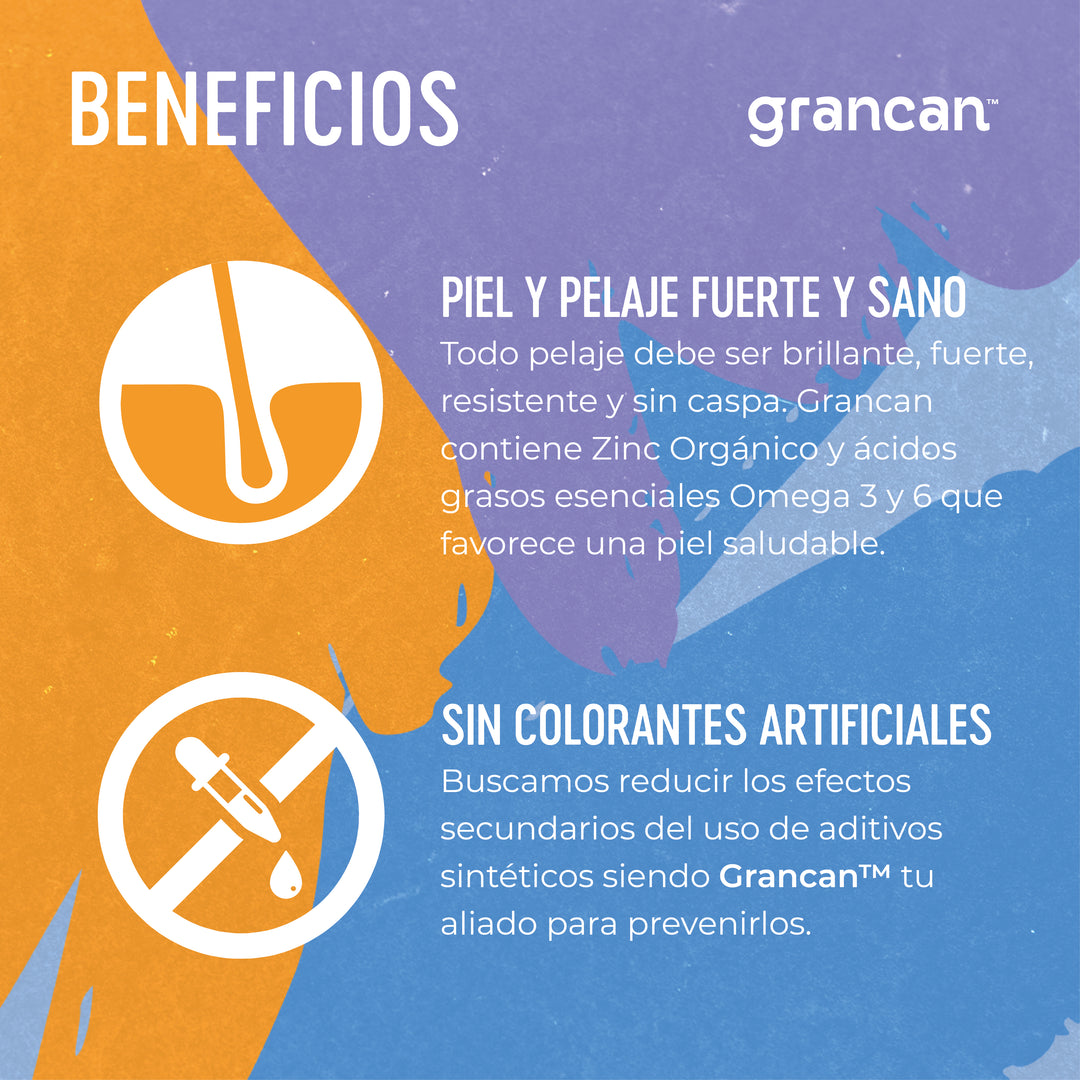 Grancan Adulto Razas Medianas y Grandes