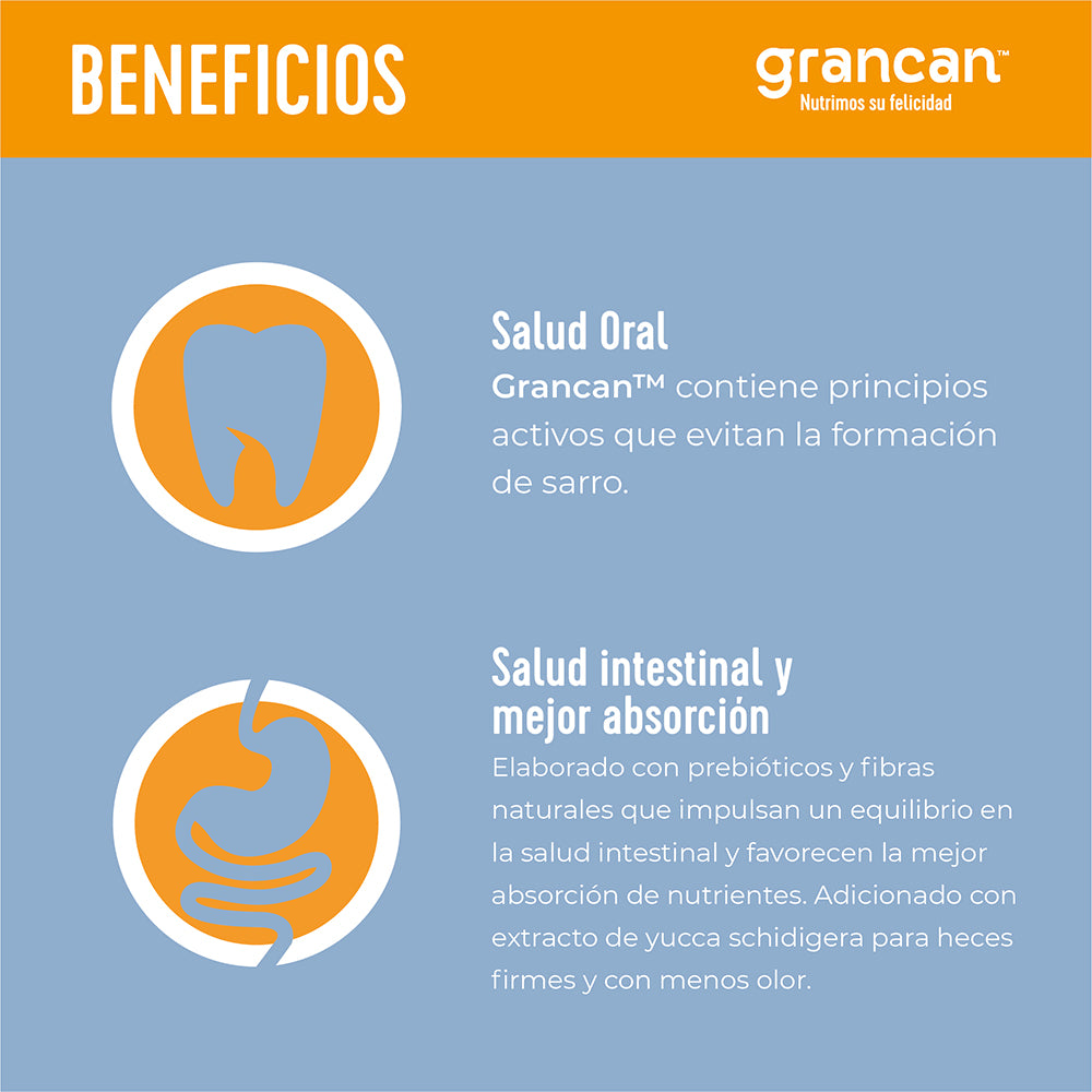 Grancan Adulto Razas Pequeñas