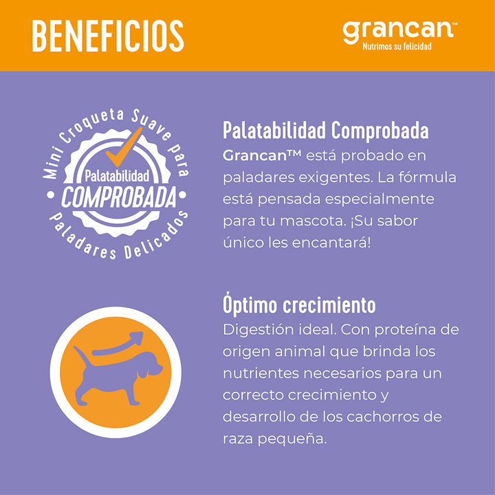 Grancan Cachorro Razas Pequeñas
