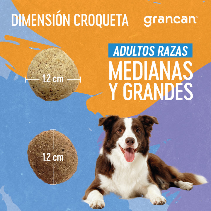 Grancan Adulto Razas Medianas y Grandes