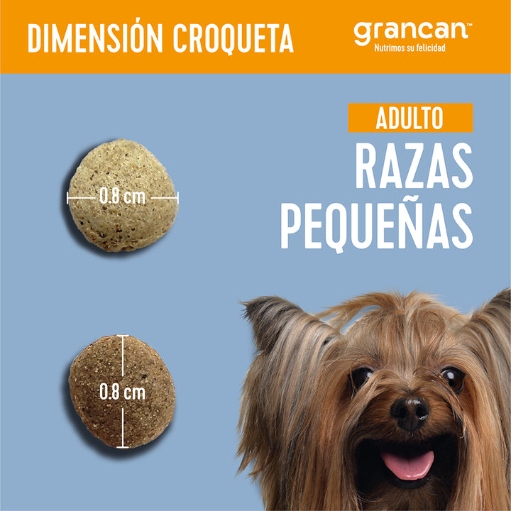 Grancan Adulto Razas Pequeñas