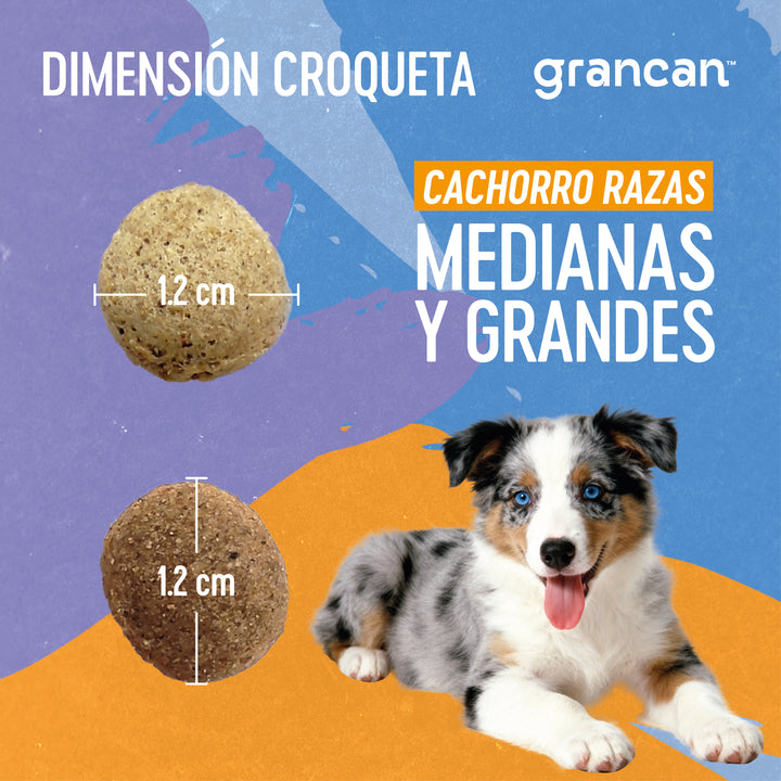 Grancan Cachorro Razas Medianas y Grandes
