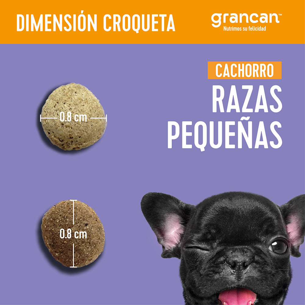 Grancan Cachorro Razas Pequeñas