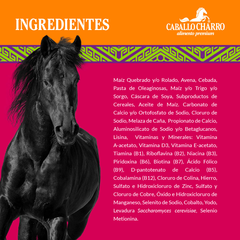 Caballo Charro 25 kg