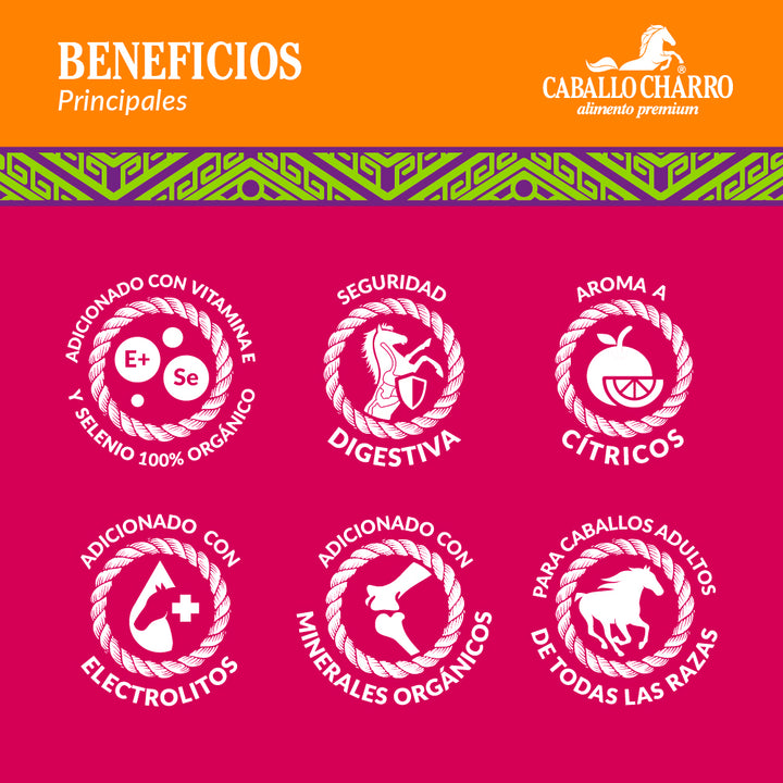 Caballo Charro 25 kg