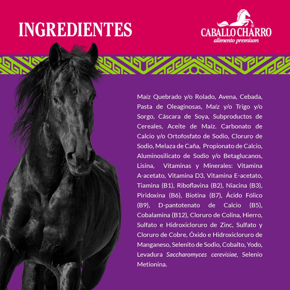 Caballo Charro Alto Enmelazado 25 kg