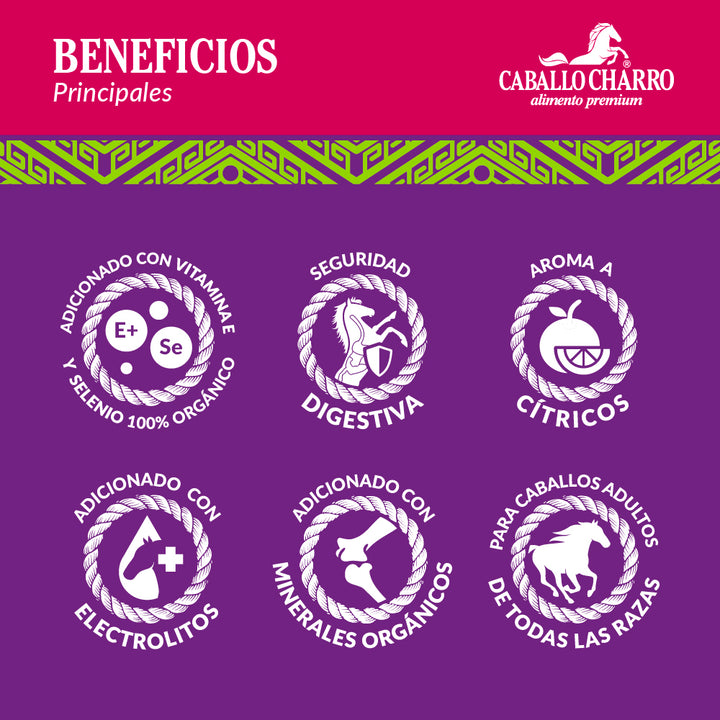 Caballo Charro Alto Enmelazado 25 kg