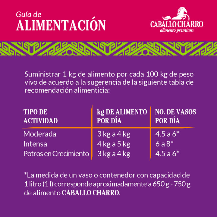 Caballo Charro Alto Enmelazado 25 kg