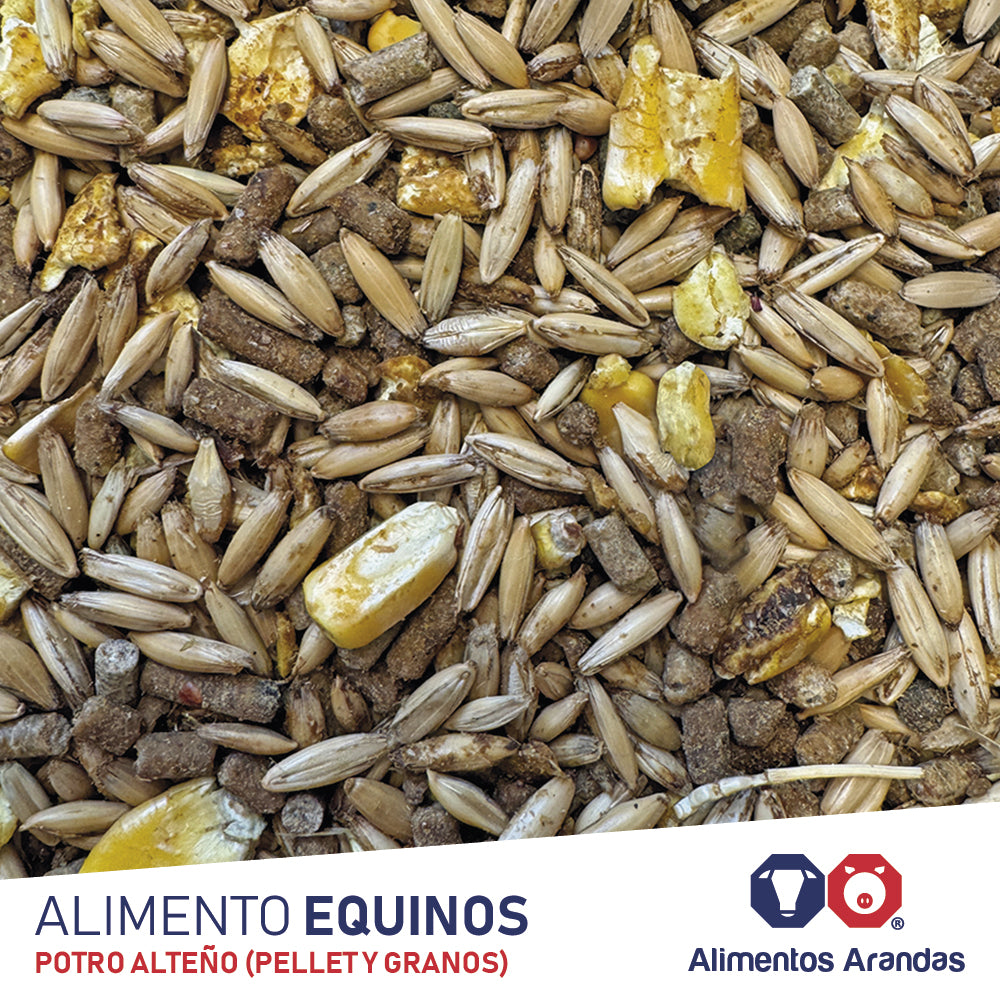ARA P Alimento Para Caballo Potro Alteño 25KG