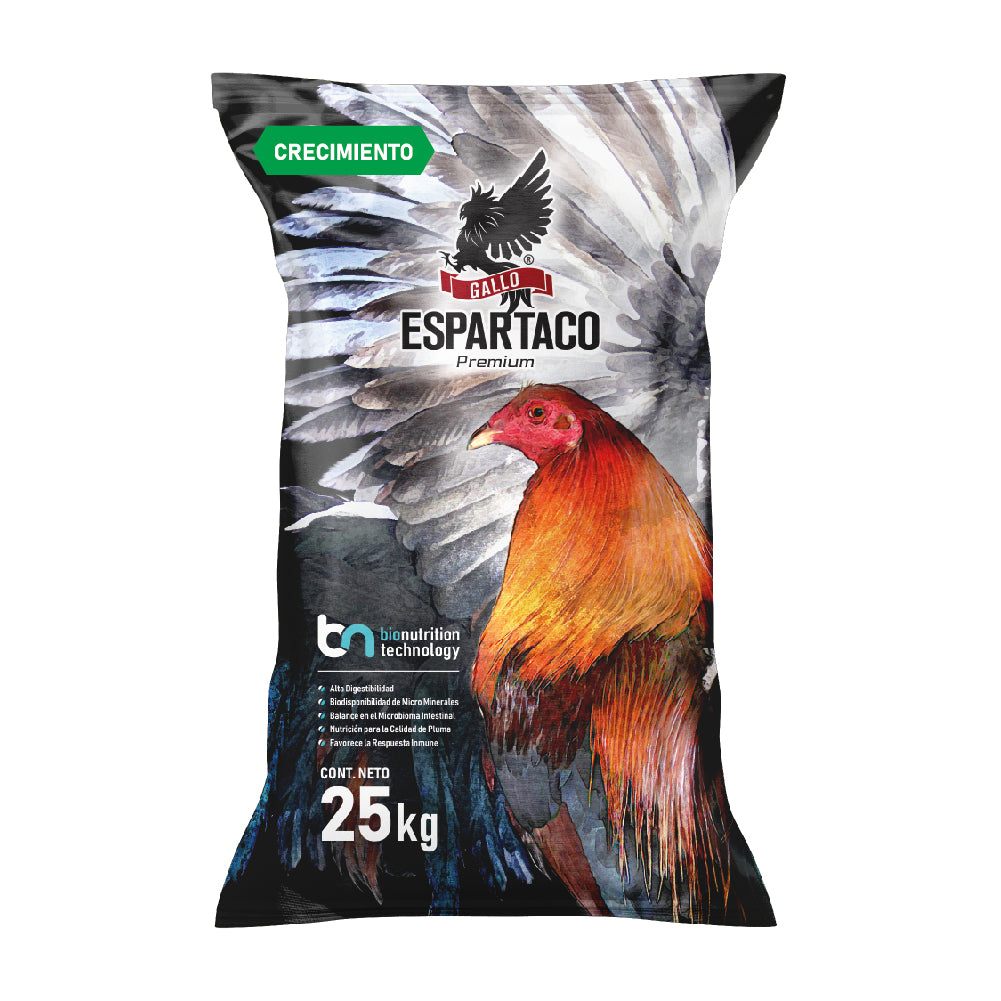 Gallo Espartaco Etapa Crecimiento
