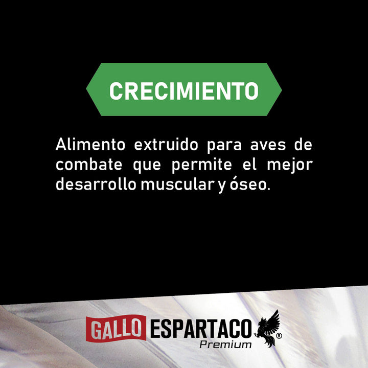 Gallo Espartaco Etapa Crecimiento