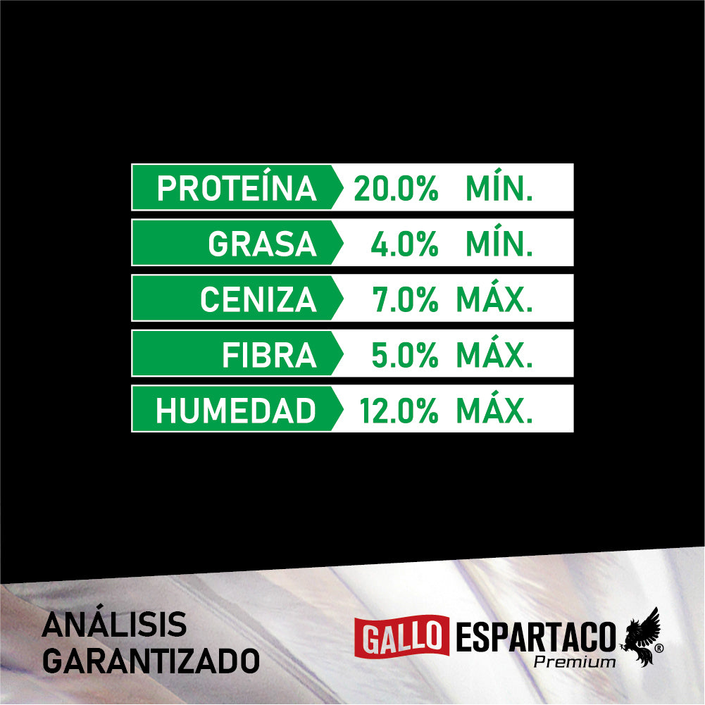 Gallo Espartaco Etapa Crecimiento