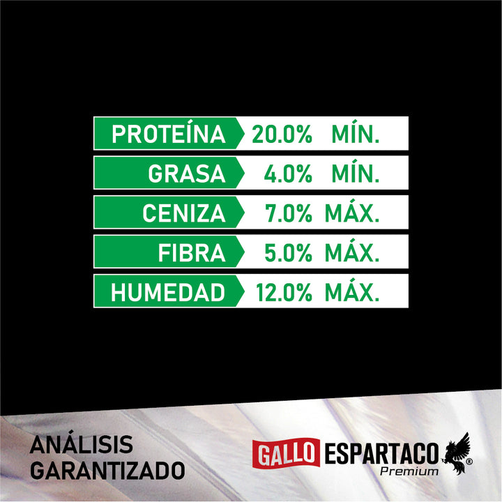 Gallo Espartaco Etapa Crecimiento