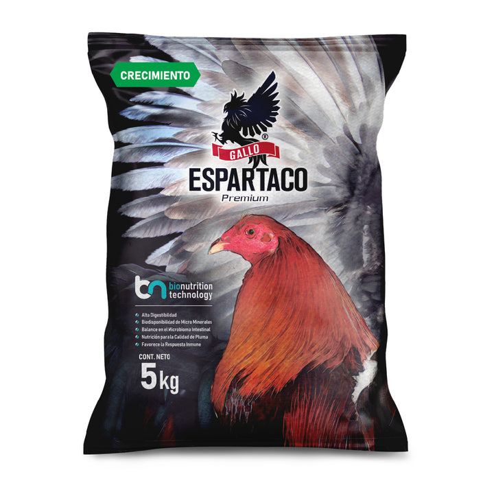 Gallo Espartaco Etapa Crecimiento