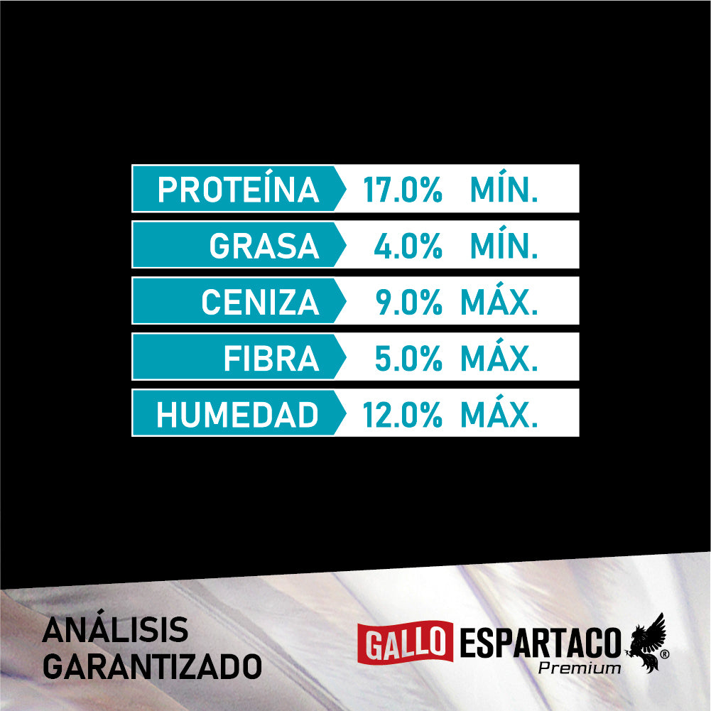 Gallo Espartaco Etapa Desarrollo