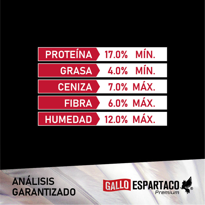 Gallo Espartaco Etapa Entrenamiento
