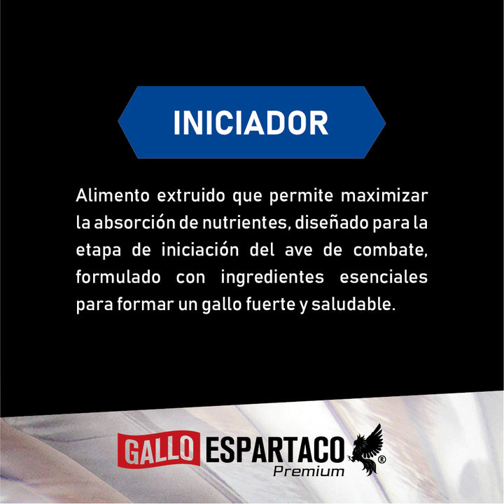Gallo Espartaco Etapa Iniciador