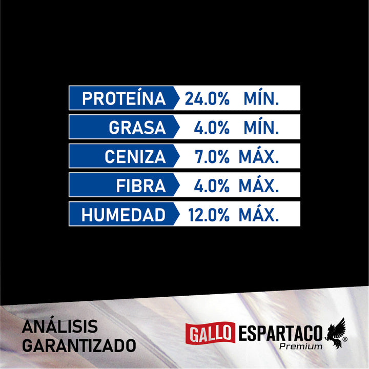 Gallo Espartaco Etapa Iniciador
