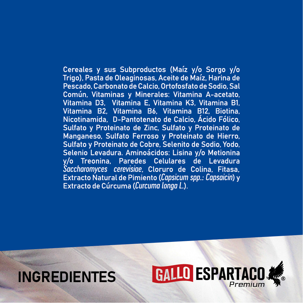 Gallo Espartaco Etapa Iniciador