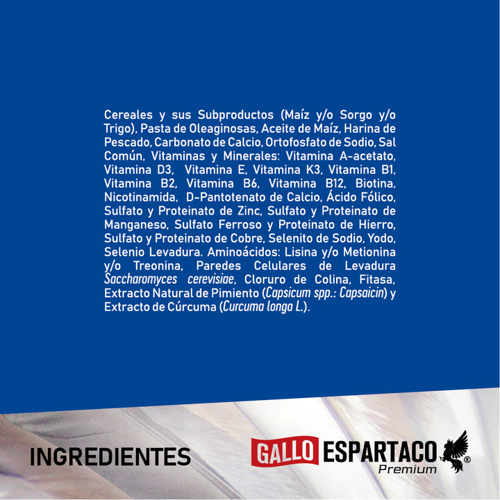 Gallo Espartaco Etapa Iniciador
