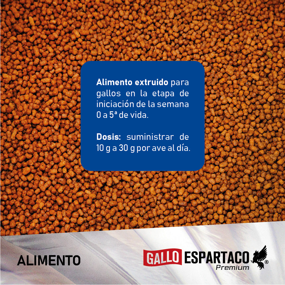 Gallo Espartaco Etapa Iniciador