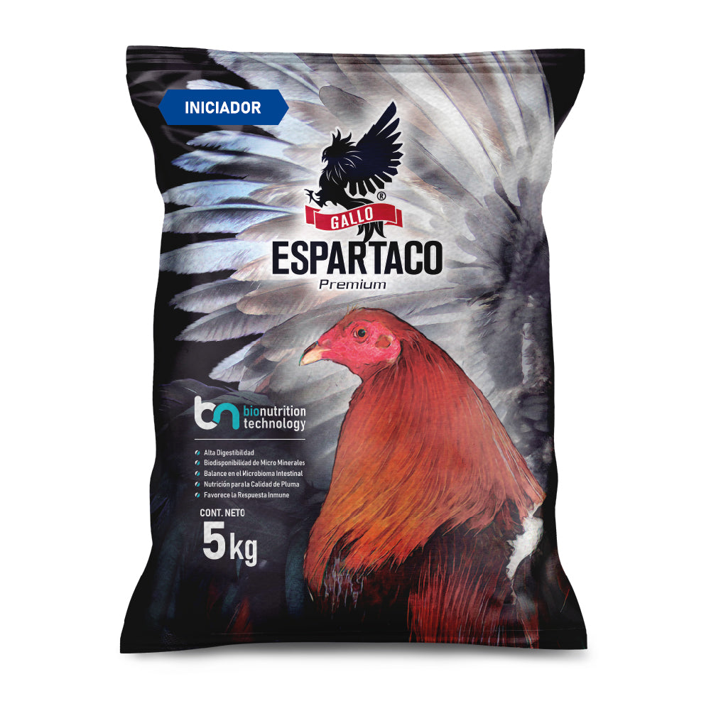 Gallo Espartaco Etapa Iniciador