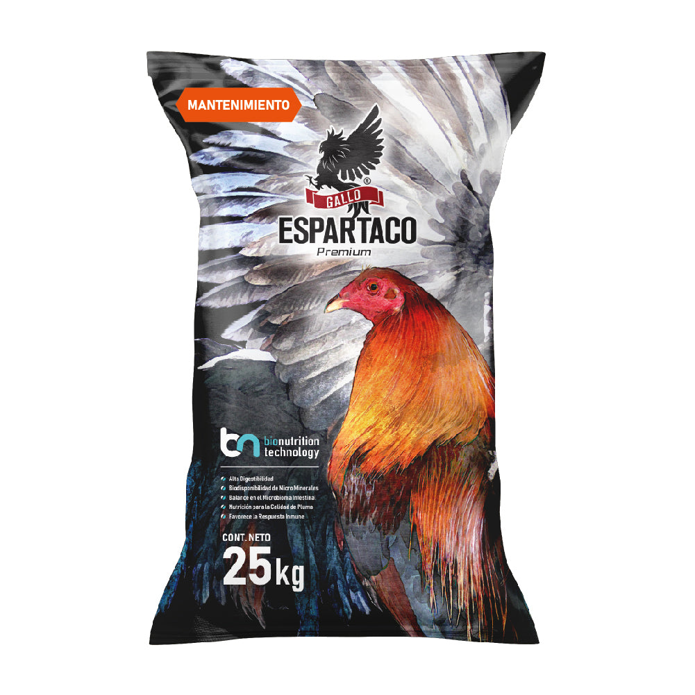 Gallo Espartaco Etapa Mantenimiento