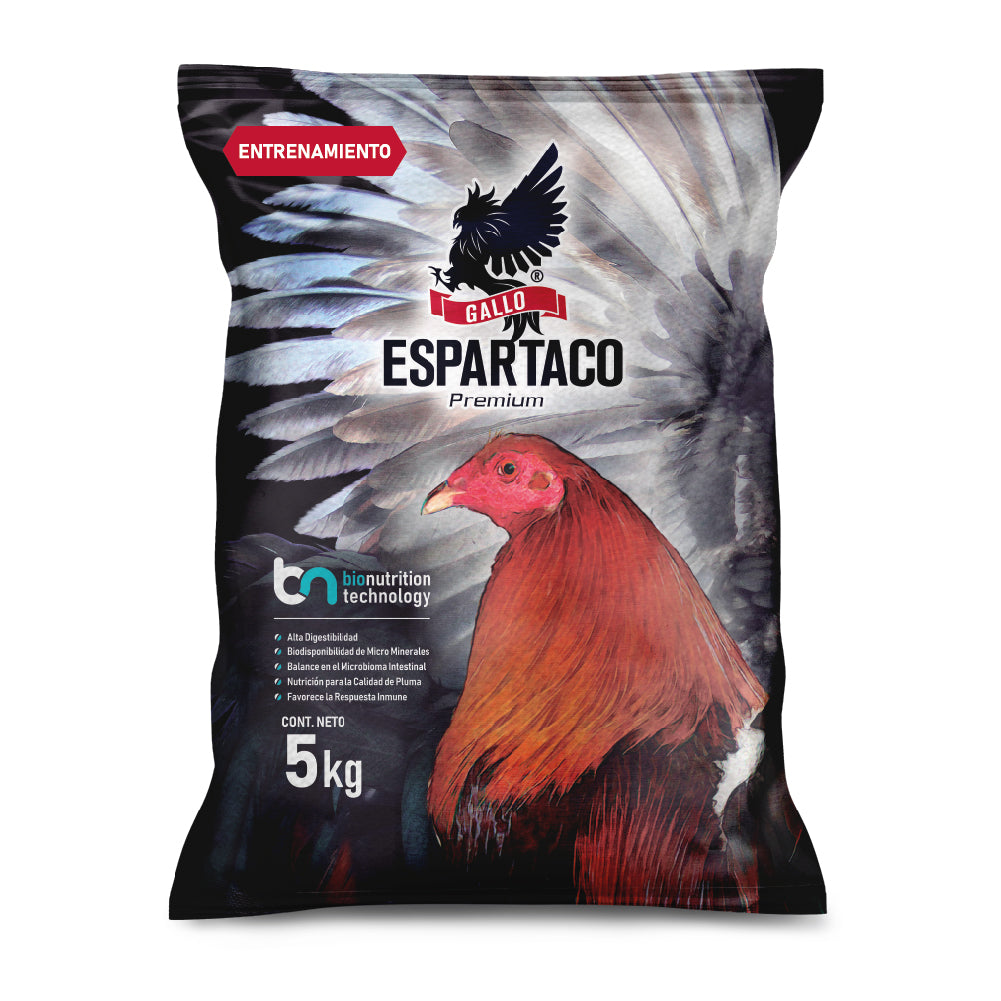 Gallo Espartaco Etapa Entrenamiento