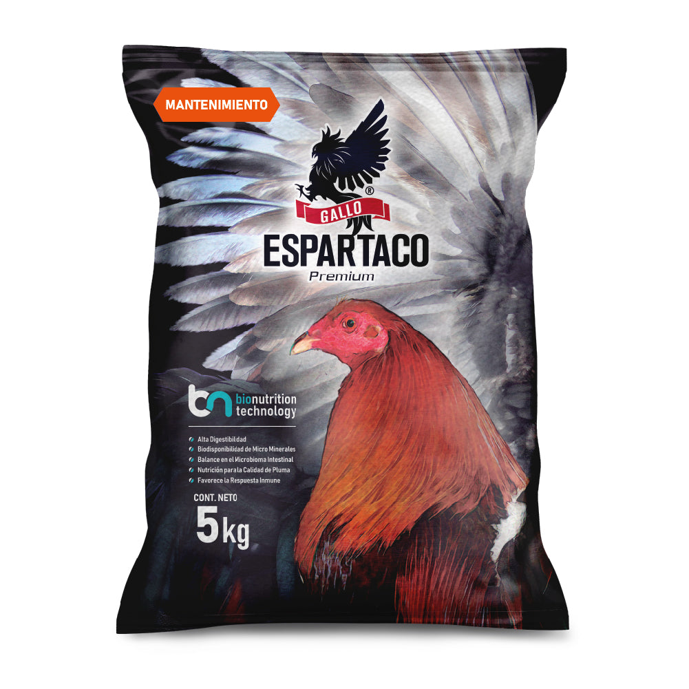 Gallo Espartaco Etapa Mantenimiento