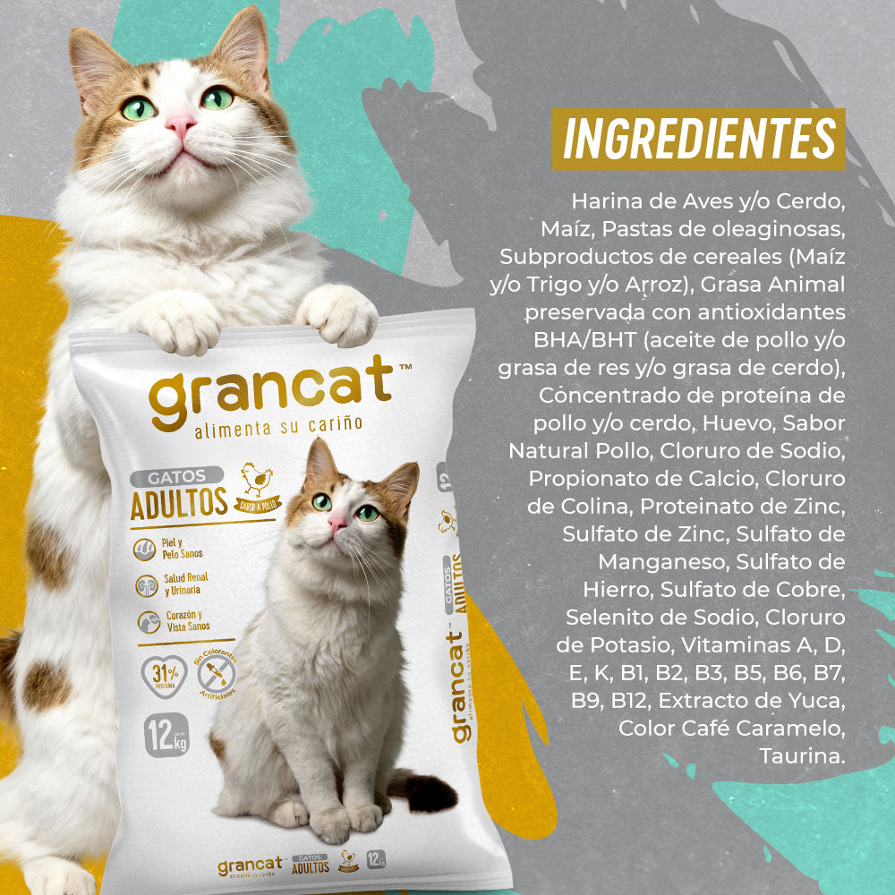 Grancat Adulto