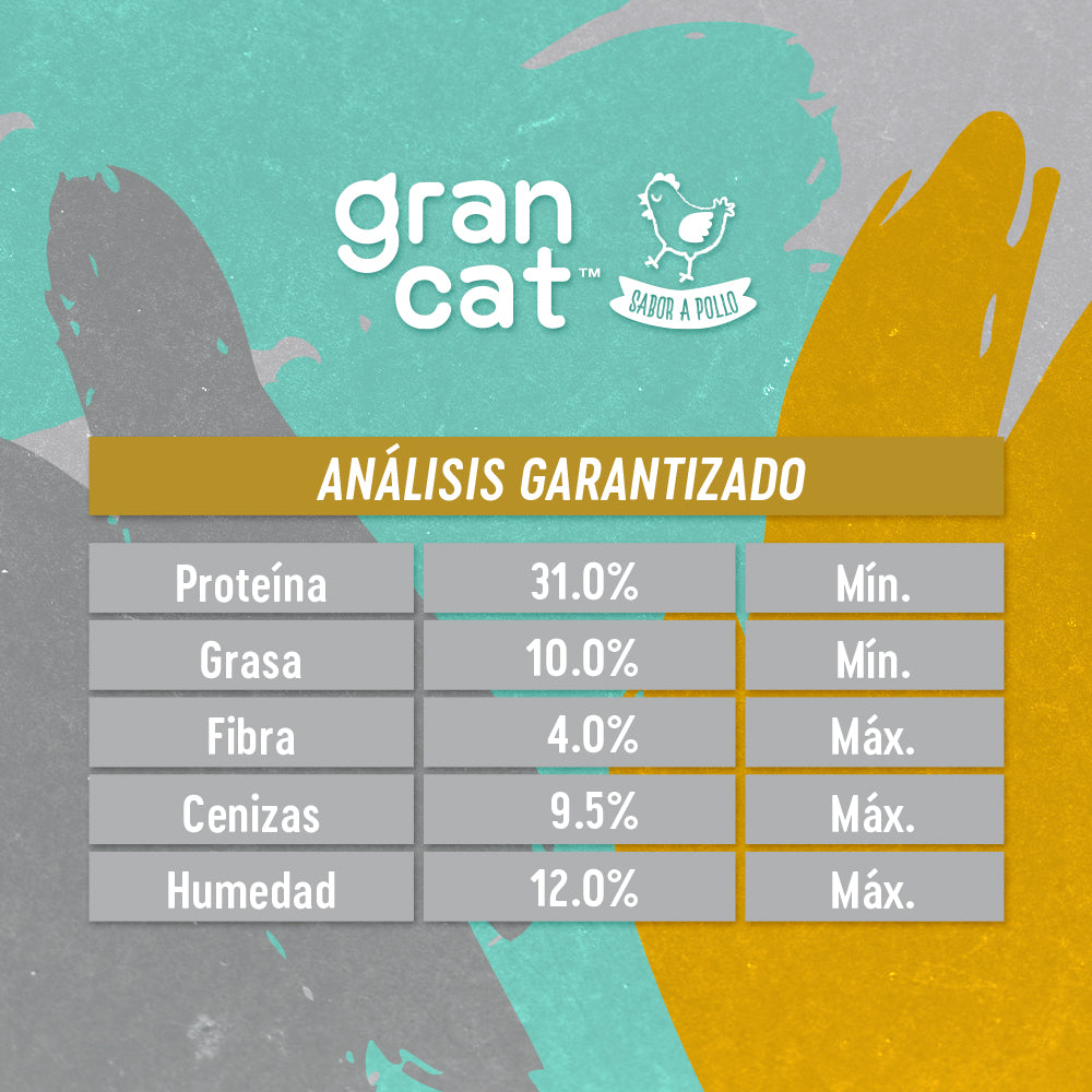 Grancat Adulto