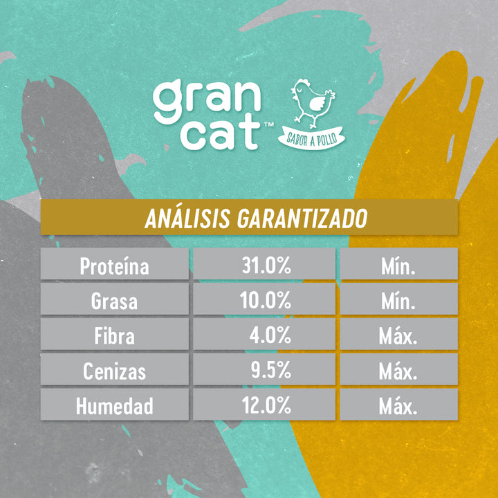 Grancat Adulto