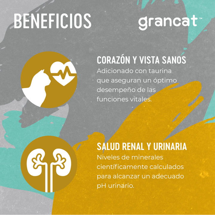 Grancat Adulto