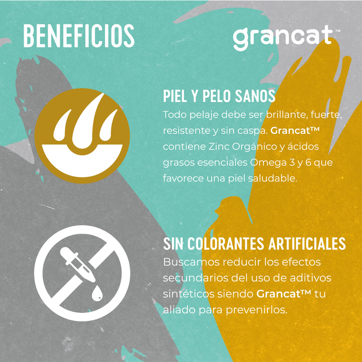 Grancat Adulto