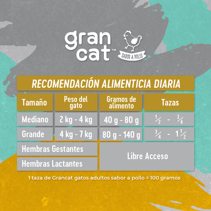 Grancat Adulto
