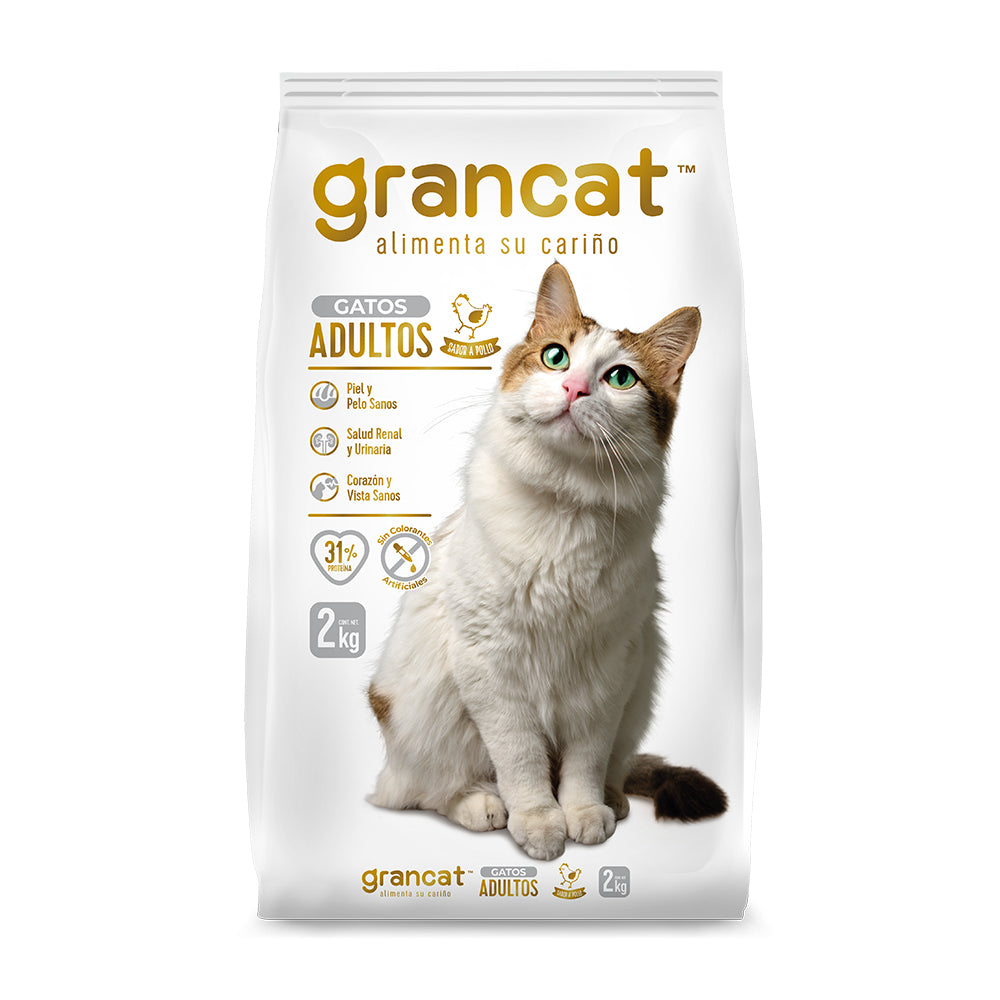 Grancat Adulto
