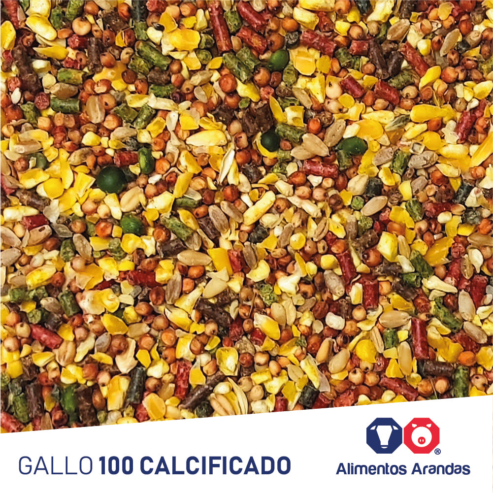 ARA MP/G Gallo 100 Calcificado