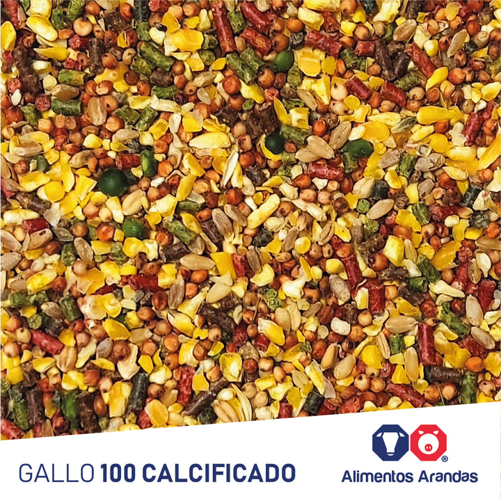 ARA MP/G Gallo 100 Calcificado