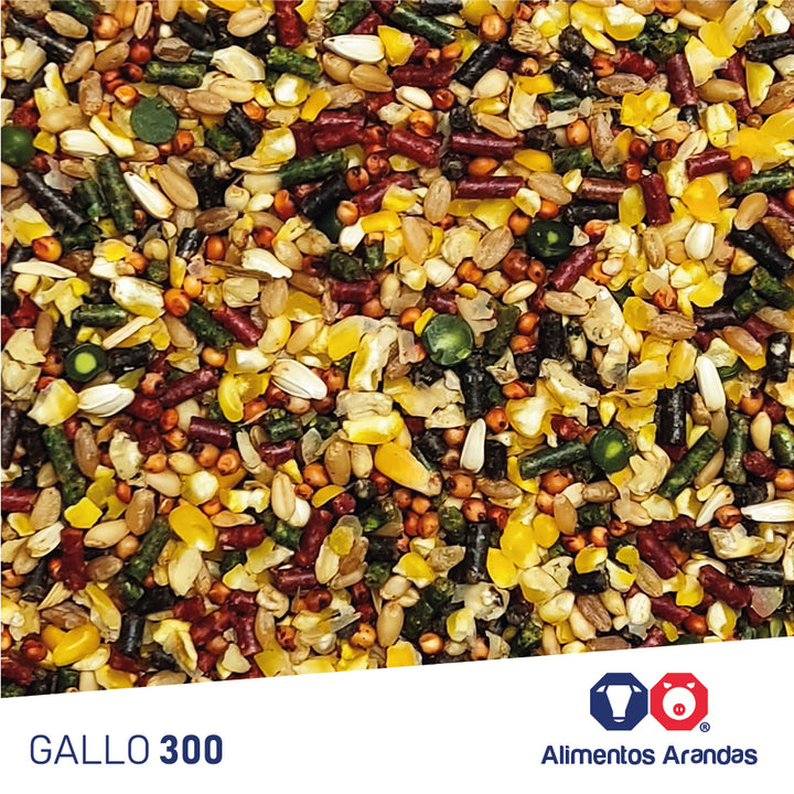 ARA MP/G Gallo 300 Etapa Mantenimiento