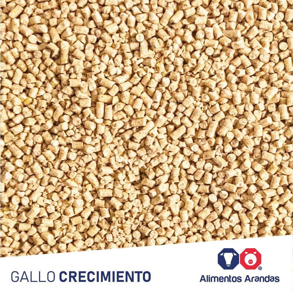 ARA MP Gallo Crecimiento 25KG