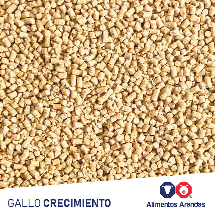 ARA MP Gallo Crecimiento 25KG