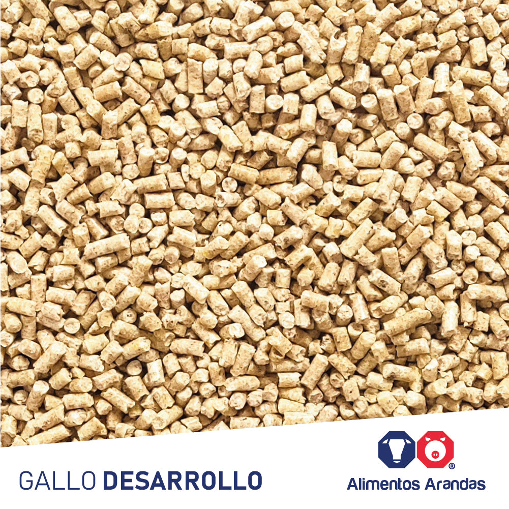 ARA MP Gallo Desarrollo 25KG